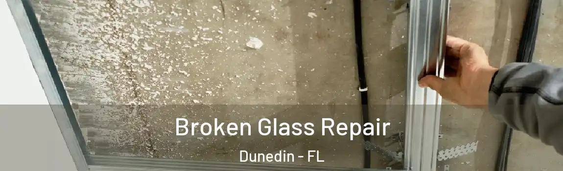  Broken Glass Repair Dunedin - FL