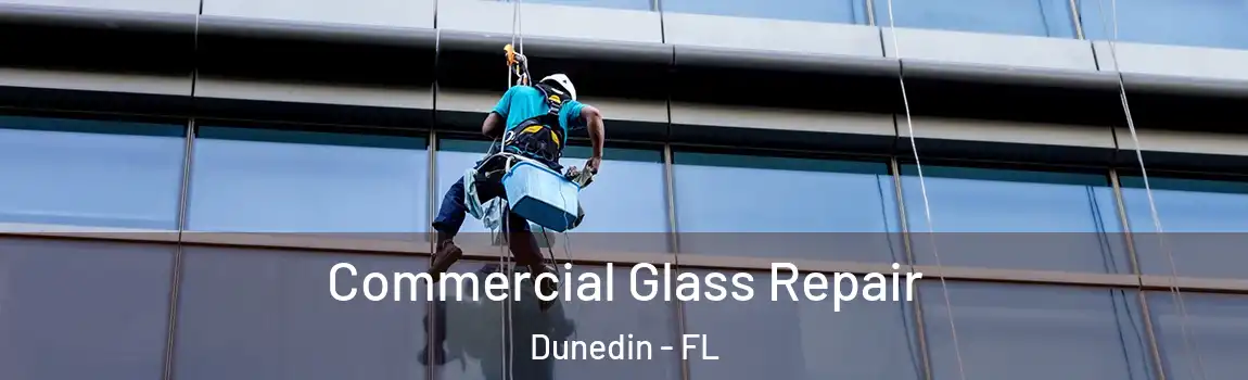  Commercial Glass Repair Dunedin - FL