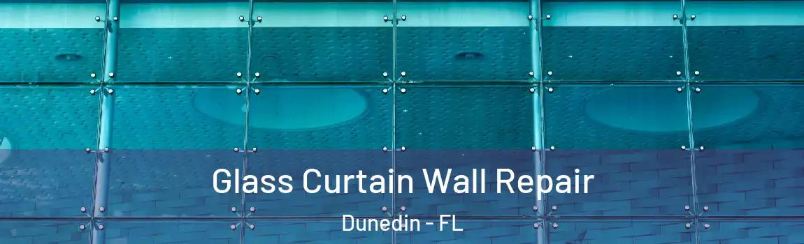  Glass Curtain Wall Repair Dunedin - FL