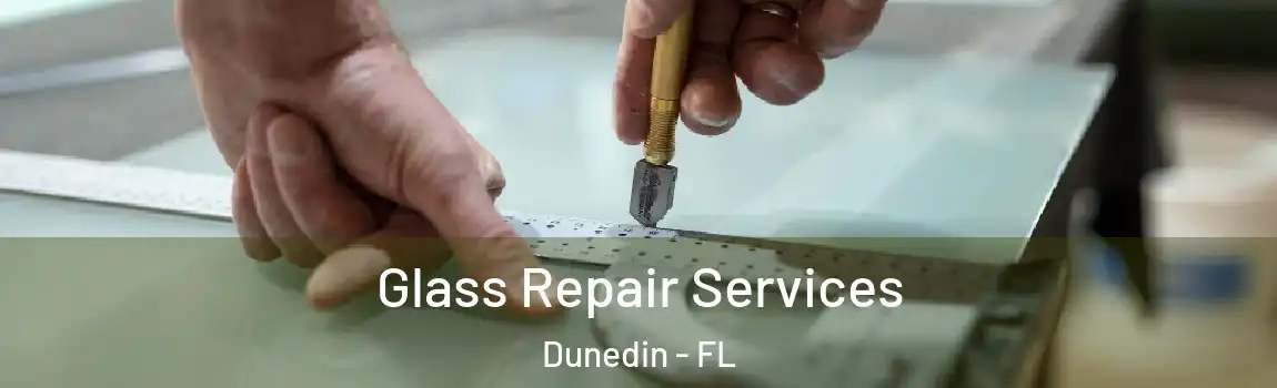 Glass Repair Services Dunedin - FL