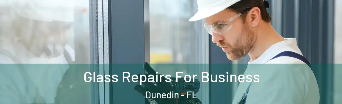  Glass Repairs For Business Dunedin - FL