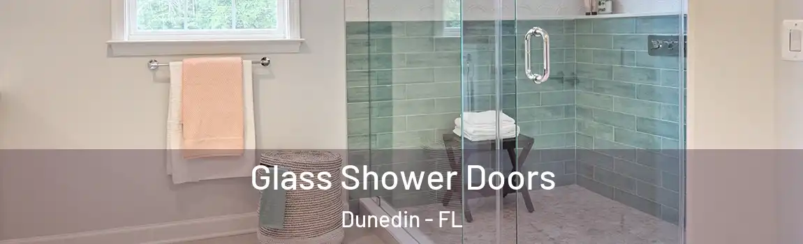  Glass Shower Doors Dunedin - FL