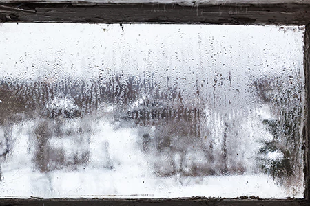 Defogging Double Pane Windows in Dunedin, FL