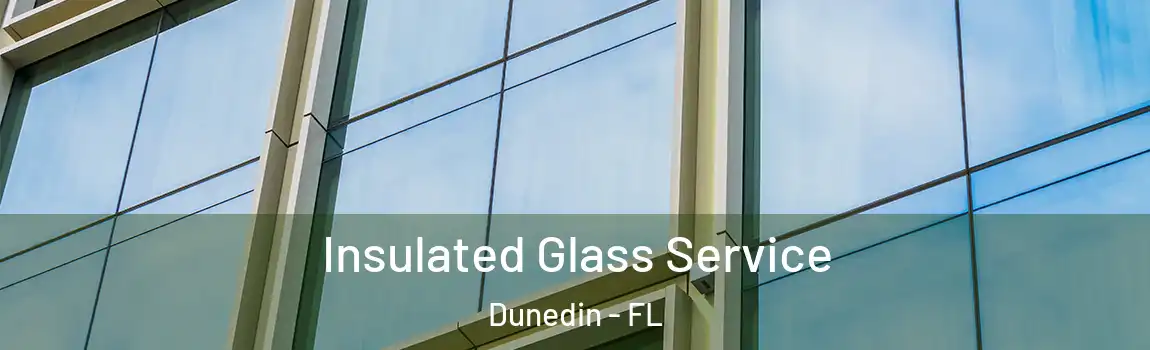  Insulated Glass Service Dunedin - FL