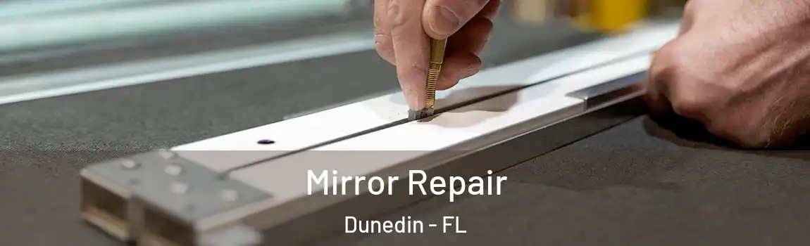  Mirror Repair Dunedin - FL