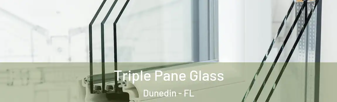  Triple Pane Glass Dunedin - FL