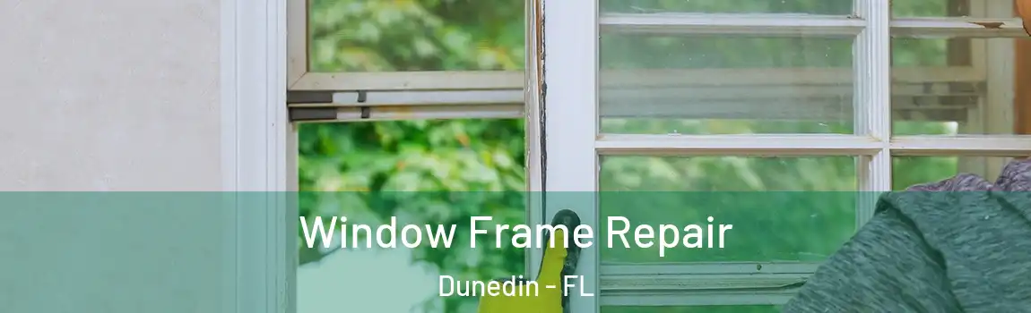  Window Frame Repair Dunedin - FL