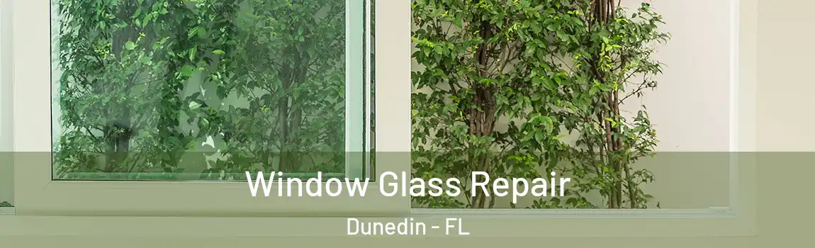  Window Glass Repair Dunedin - FL