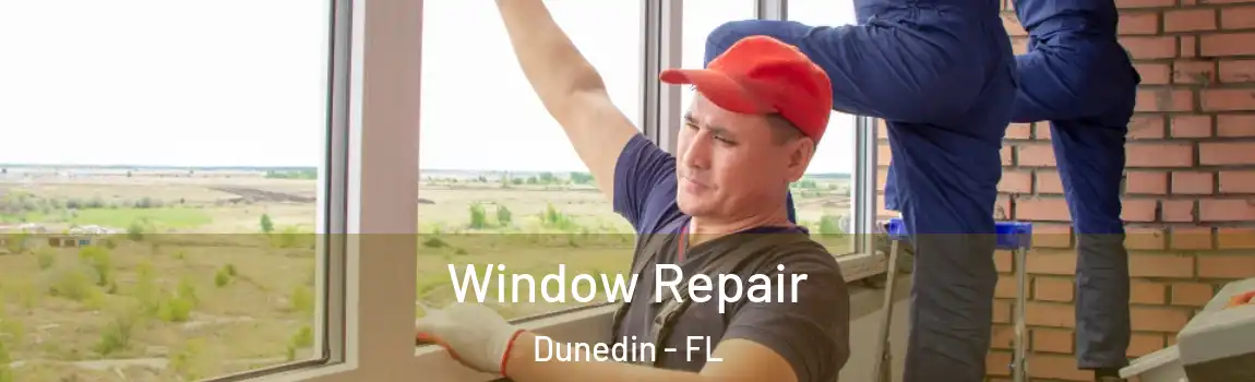 Window Repair Dunedin - FL