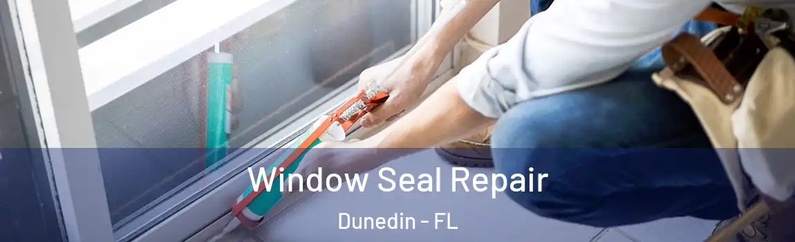  Window Seal Repair Dunedin - FL
